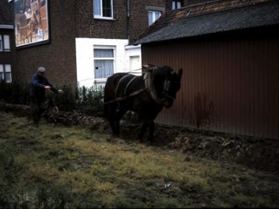 3-1-2012_035